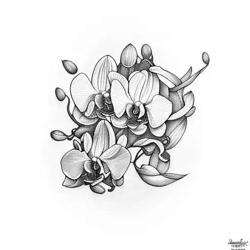 Manifest And Believe In Your Dream With Orchid