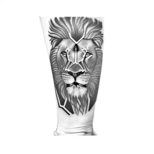 A Lion With Green Eyes