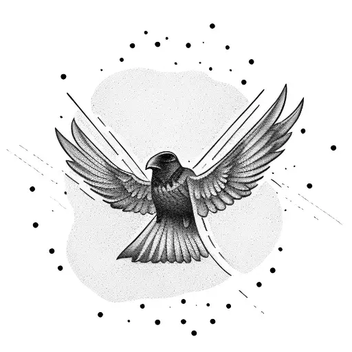 A Raven Fly In Circle