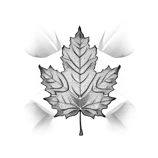 Korean Maple Leaf