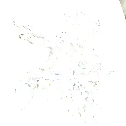 Lord Of The Rings Tree Roots