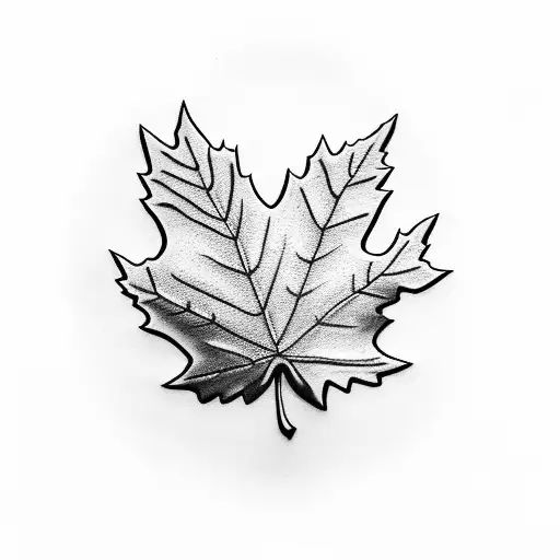 Maple Leaf