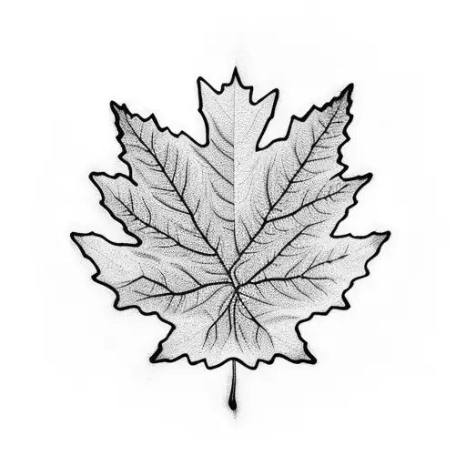 Maple Leaf Outline
