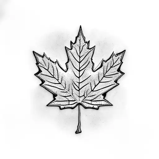 Blue Jays Maple Leaf Logo With Outline