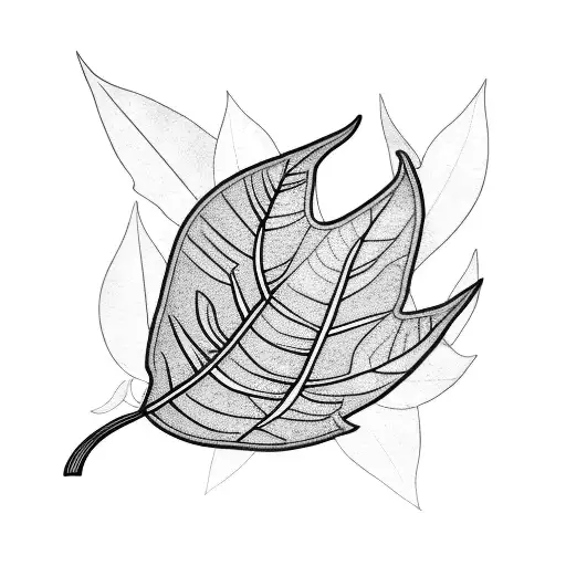 Tropical Leaves On Black Background