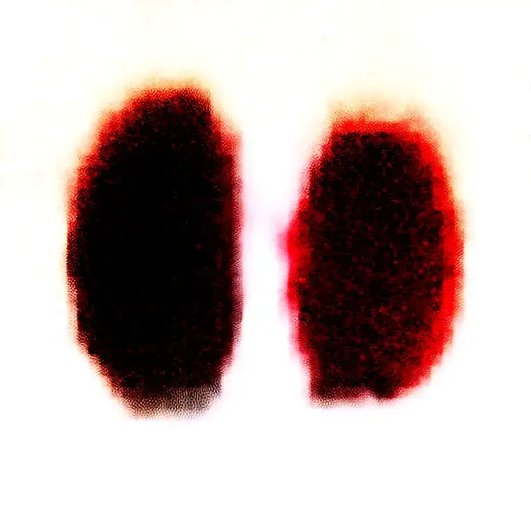 Two Rose Wrapped One Black One Red