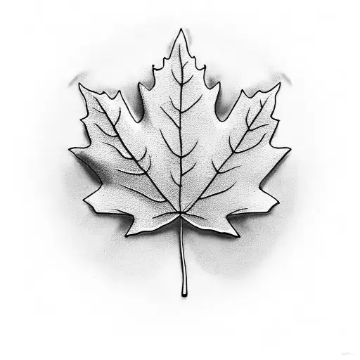 Maple Leaf