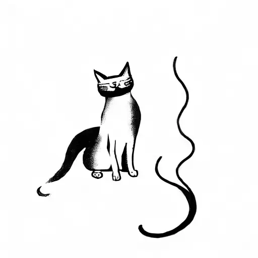 A Cat In A Dark Room