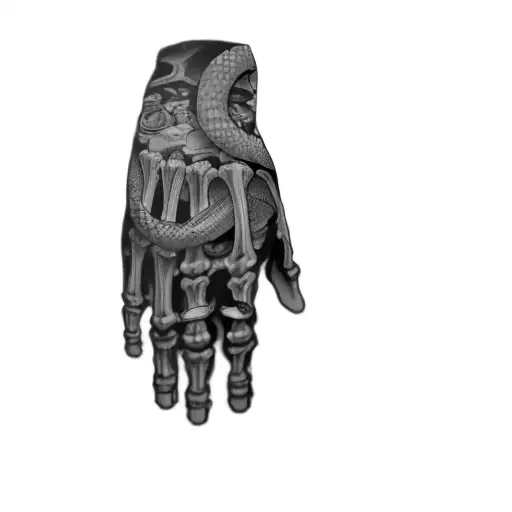 A Skeleton Hand With A Snake On It