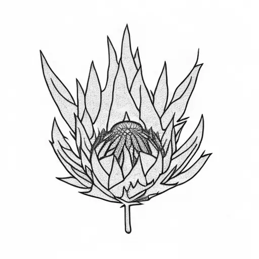 Protea And Maple Leaf