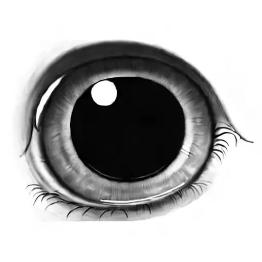 A Blue Eye On A Black Background