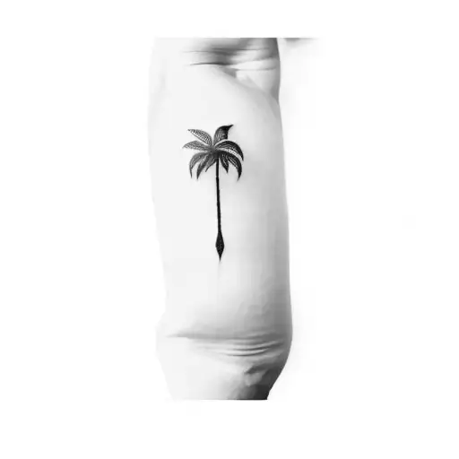 Palm Tree