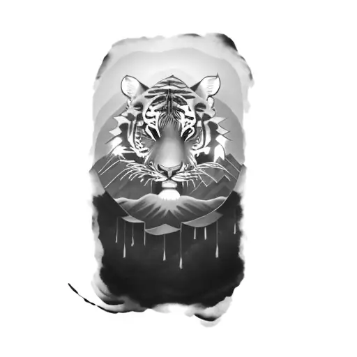 A Tiger On Top Of A Mountain