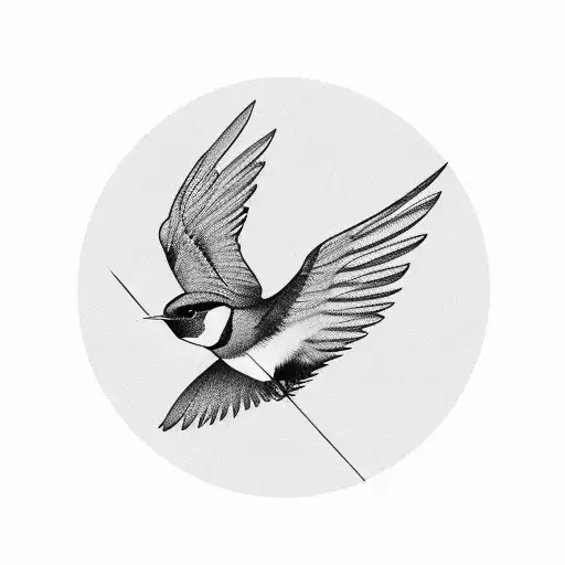 Swallow Bird Pierced By An Arrow From Above