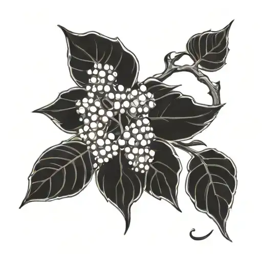 Black Pepper Plant And Death