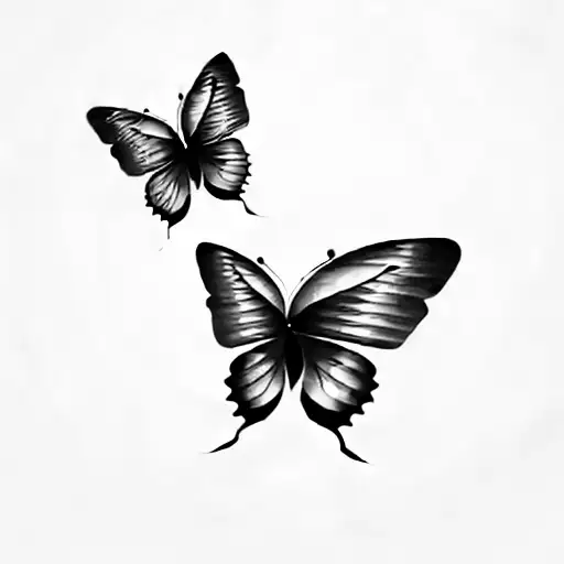 Two Butterflies On A Black Background