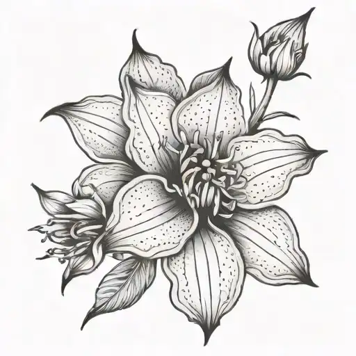 Belladonna