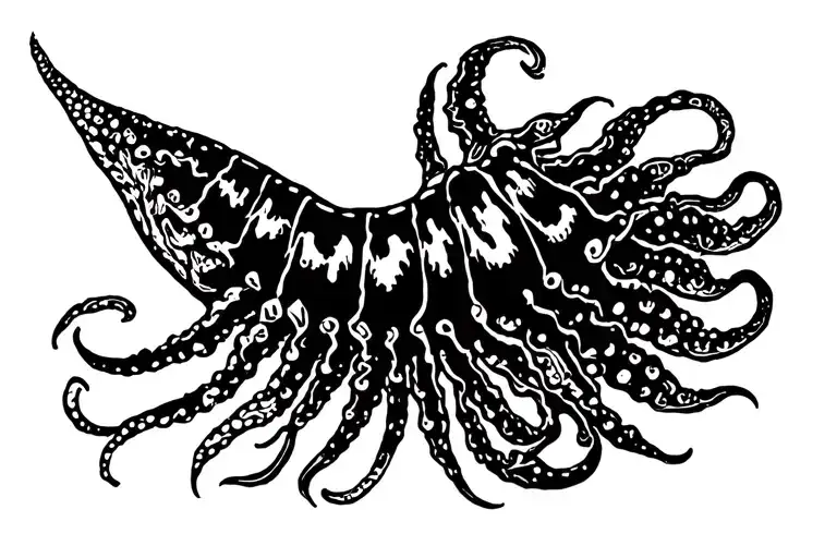 Cuttlefish