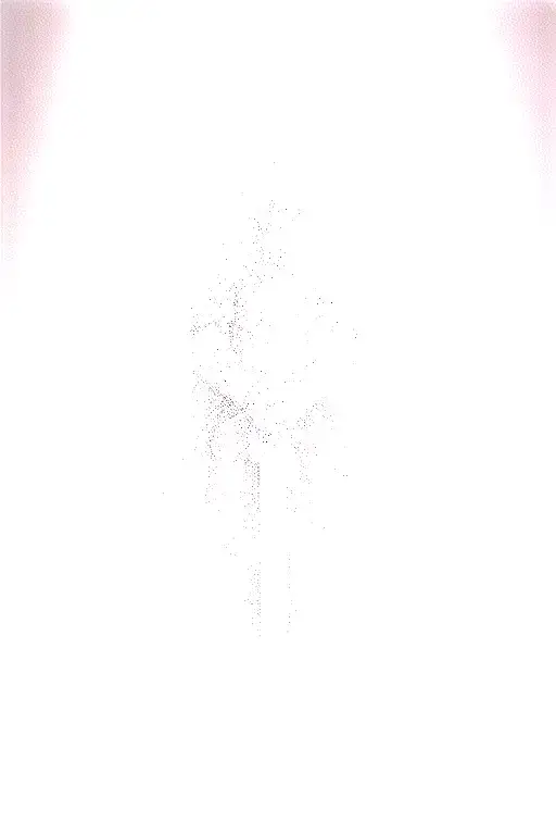 Knight Holding A Sword