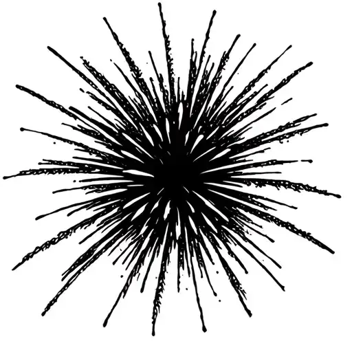 Firework Flashpowder