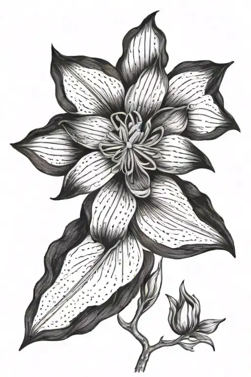Clematis Flower