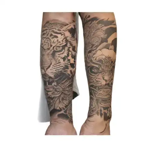 A Tiger And A Samurai