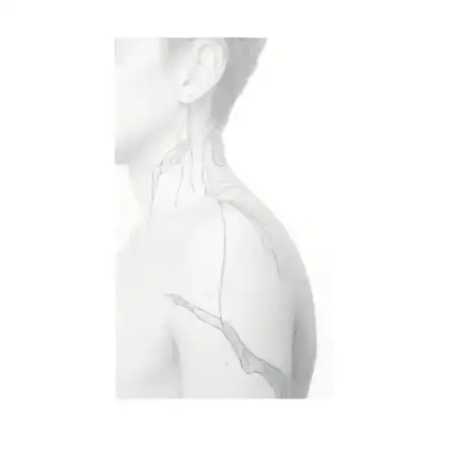 A Person In The Dark