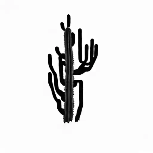 Simple Cactus Black And White With Terrain