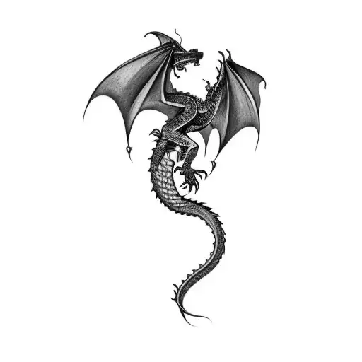 A Dragon