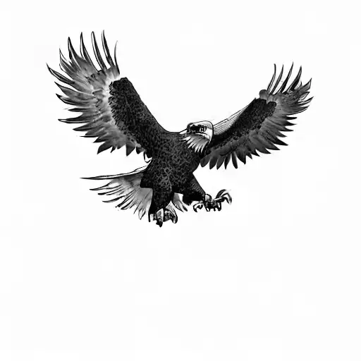 An Eagle Flying In The Sky
