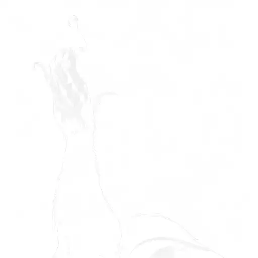 A Black Cat In A Dark Room