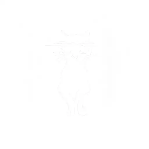 A Black Cat In A Dark Room