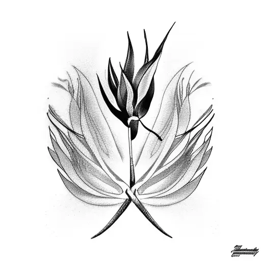 Bird Of Paradise Father Past