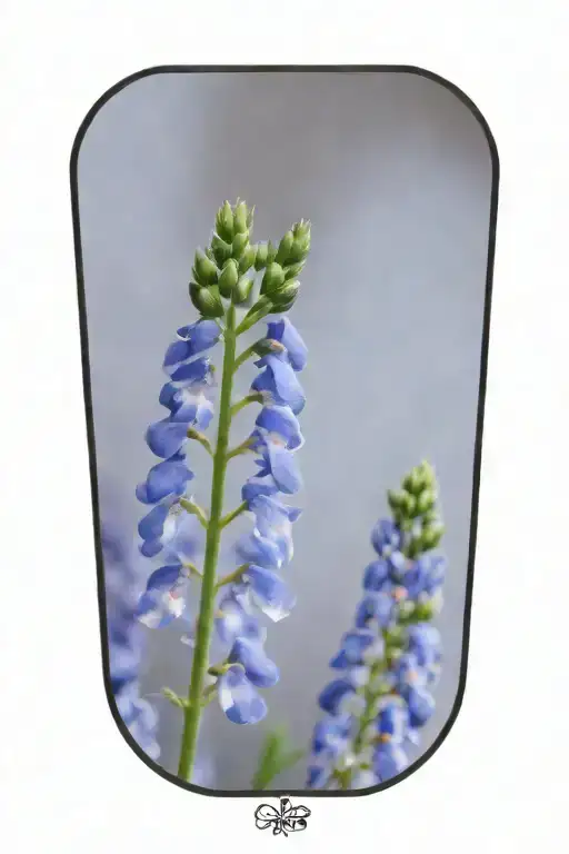 Dainty Line Lupinis Flowers Symbolizing Rebirth Less Closeup And More Heavy Lines