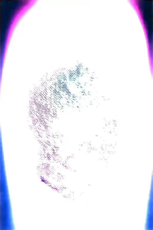 Dragon And Cherry Blossom Tree