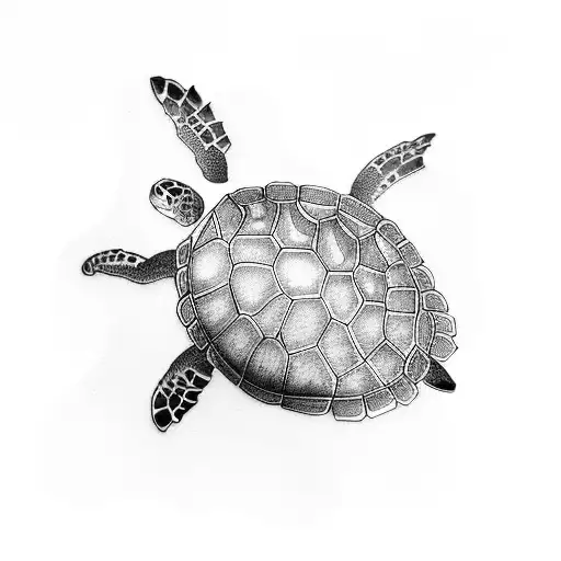 Turtle