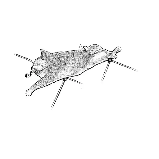 A Cat Laying On Top Of A Pole