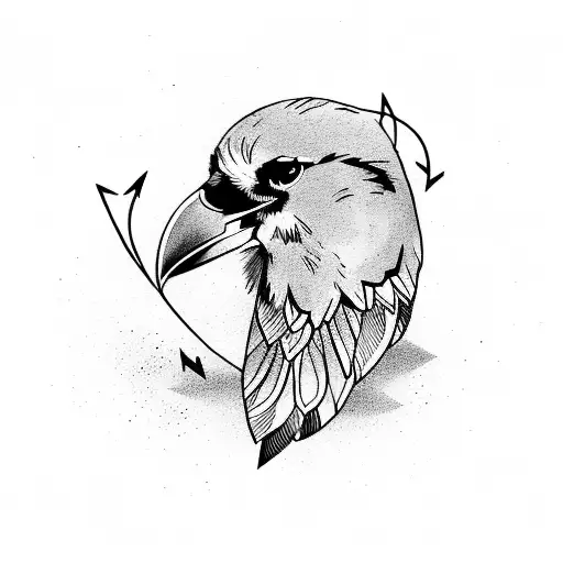 Arrow And Raven Feathers