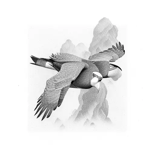 Bird Condor With 4 Fenders On The Right Wing And 6 Fenders On The Left Wing