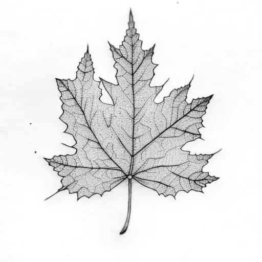 Northern Red Oak Leaf