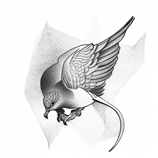 Dead Dove From The Side