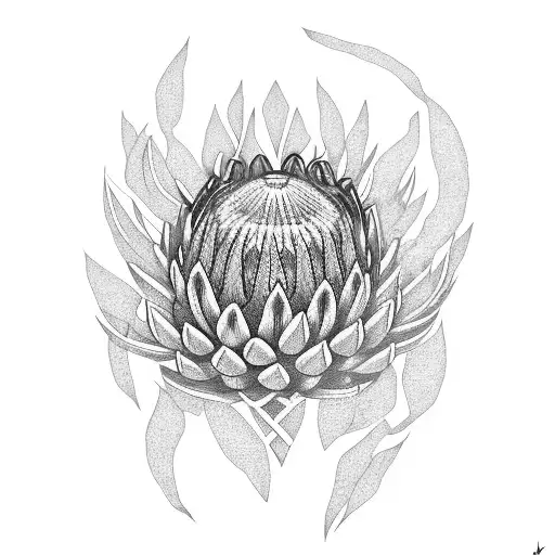 Protea With Celtic Cross