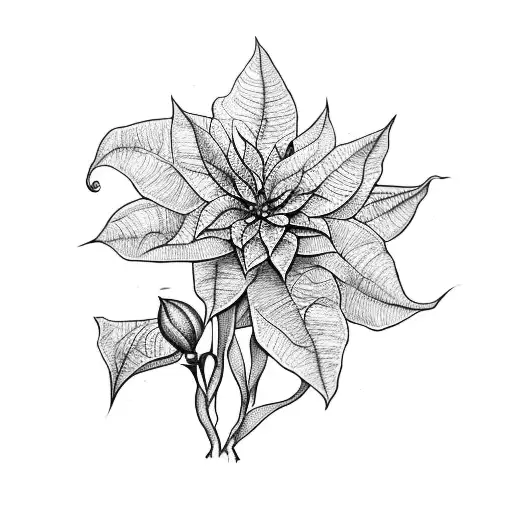 Rose Poinsettia Lily Of The Valley