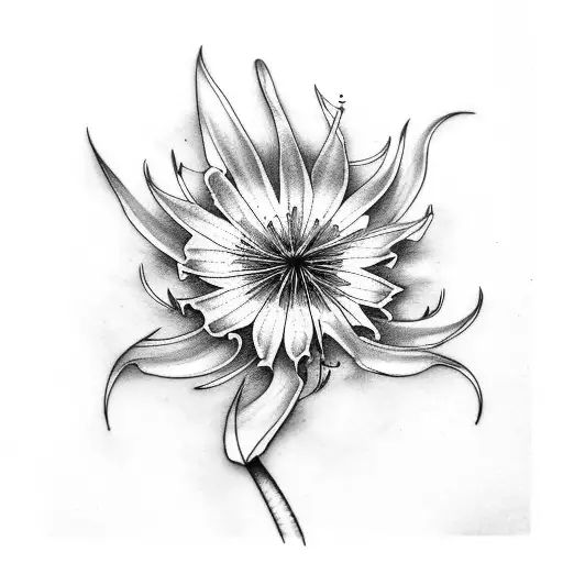 A Long Seam From Palm To Elbow This Spider Lily