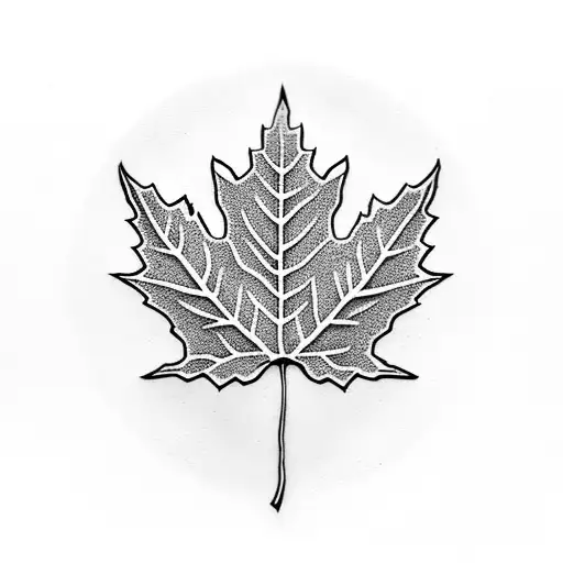 Maple Leaf