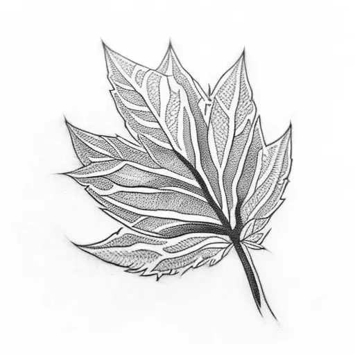 Greek Leaf