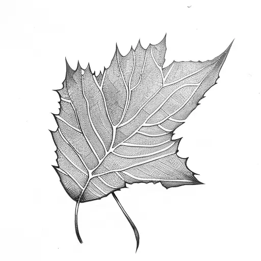 Leaf With Negar Names