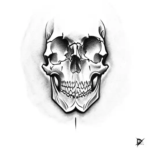 Skull
