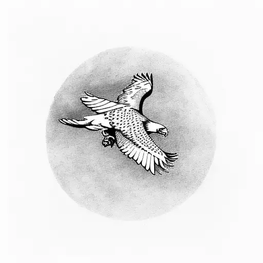 Eagle Flying To The Sky