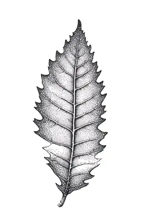 A Leaf Of A Birch Tree